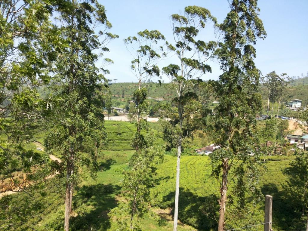 Chalet Tea Hills *