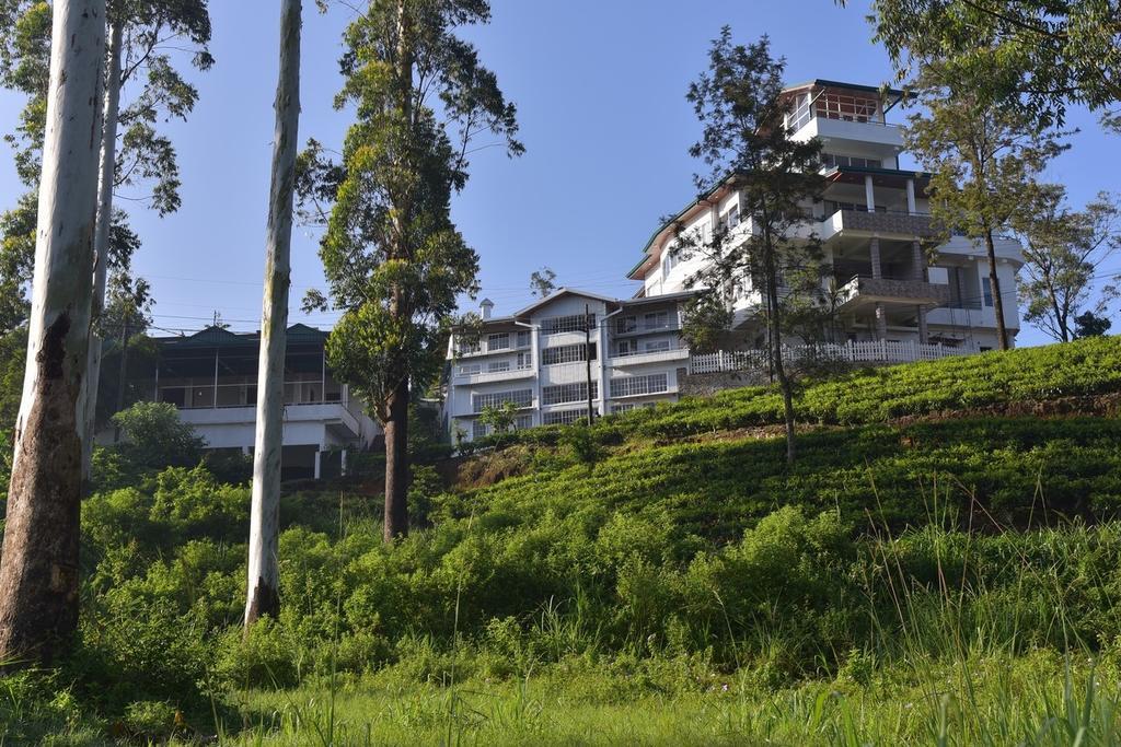 Chalet Tea Hills