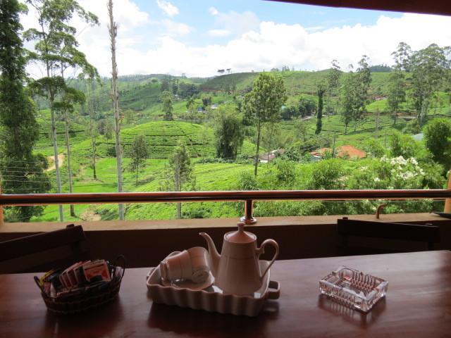 Tea Hills *